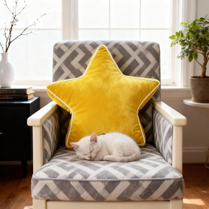 22" Star Pillow, Decorative Throw & Floor Cushion for Sofa, Bedroom