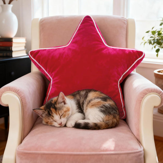 22" Star Pillow, Decorative Throw & Floor Cushion for Sofa, Bedroom